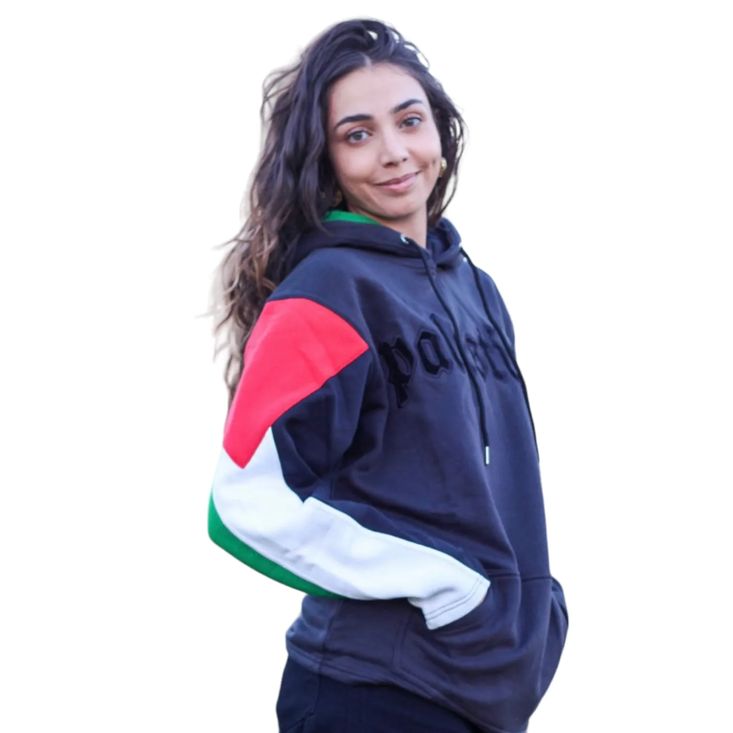 The Palestine Flag Pullover Hoodie (Black Outline)